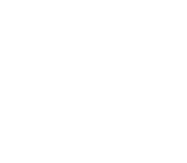 Legacy of Rhino Roofs